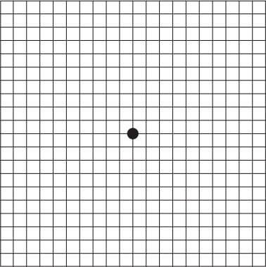 Al Jaber Optical-AmdTest